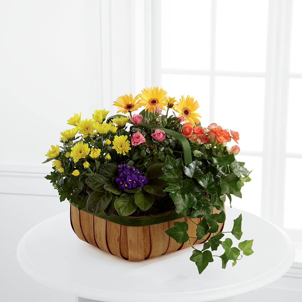 Gentle Blossoms Basket – COCO'S FLOWER BAR, Mckinney TX