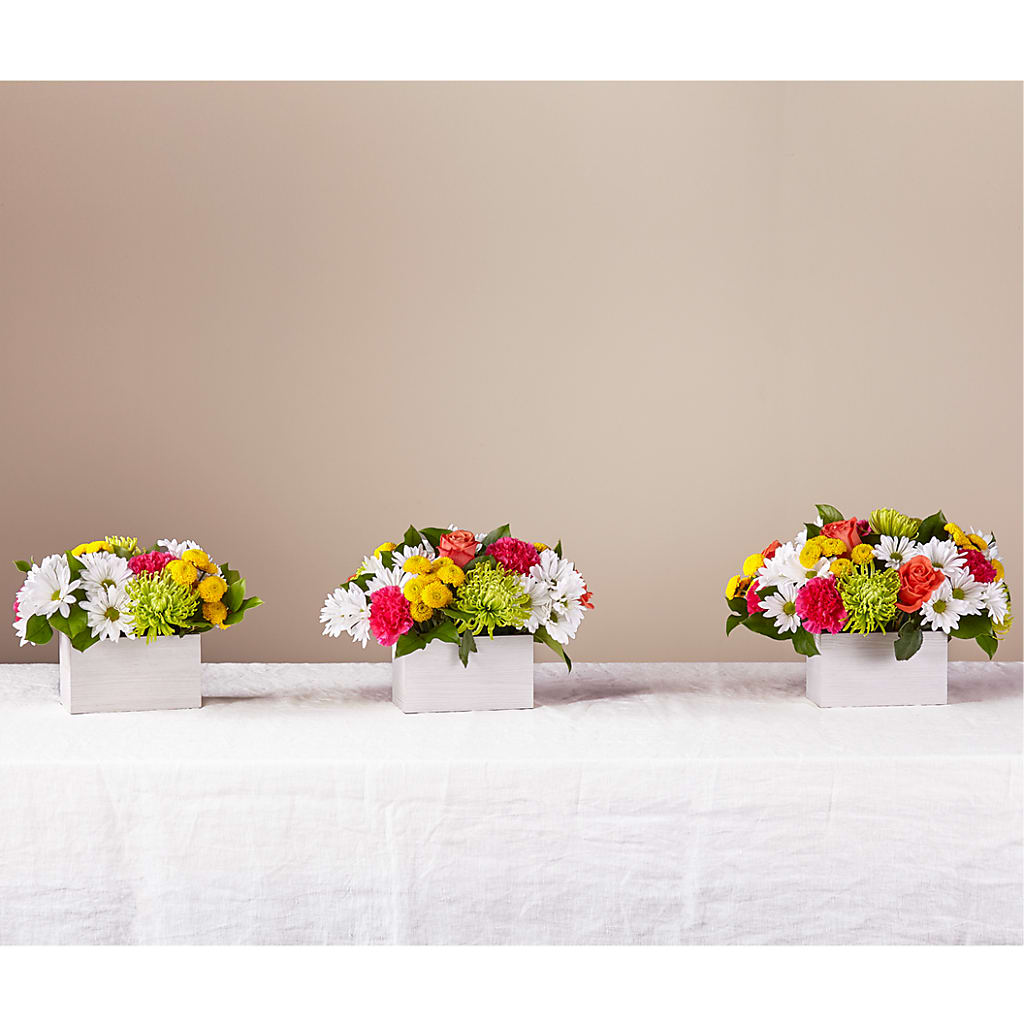 Sorbet Bouquet – COCO'S FLOWER BAR, Mckinney TX
