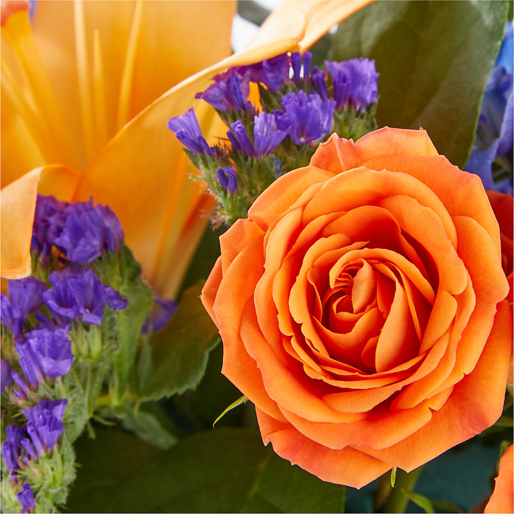 Radiant Citrus Box Bouquet – COCO'S FLOWER BAR, Mckinney TX