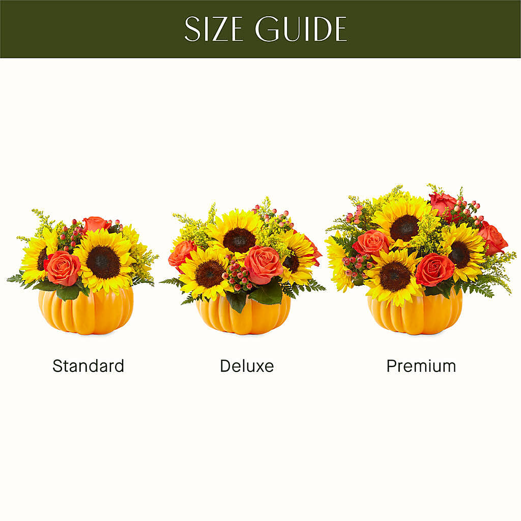Pick of the Patch Pumpkin Bouquet – COCO'S FLOWER BAR, Mckinney TX