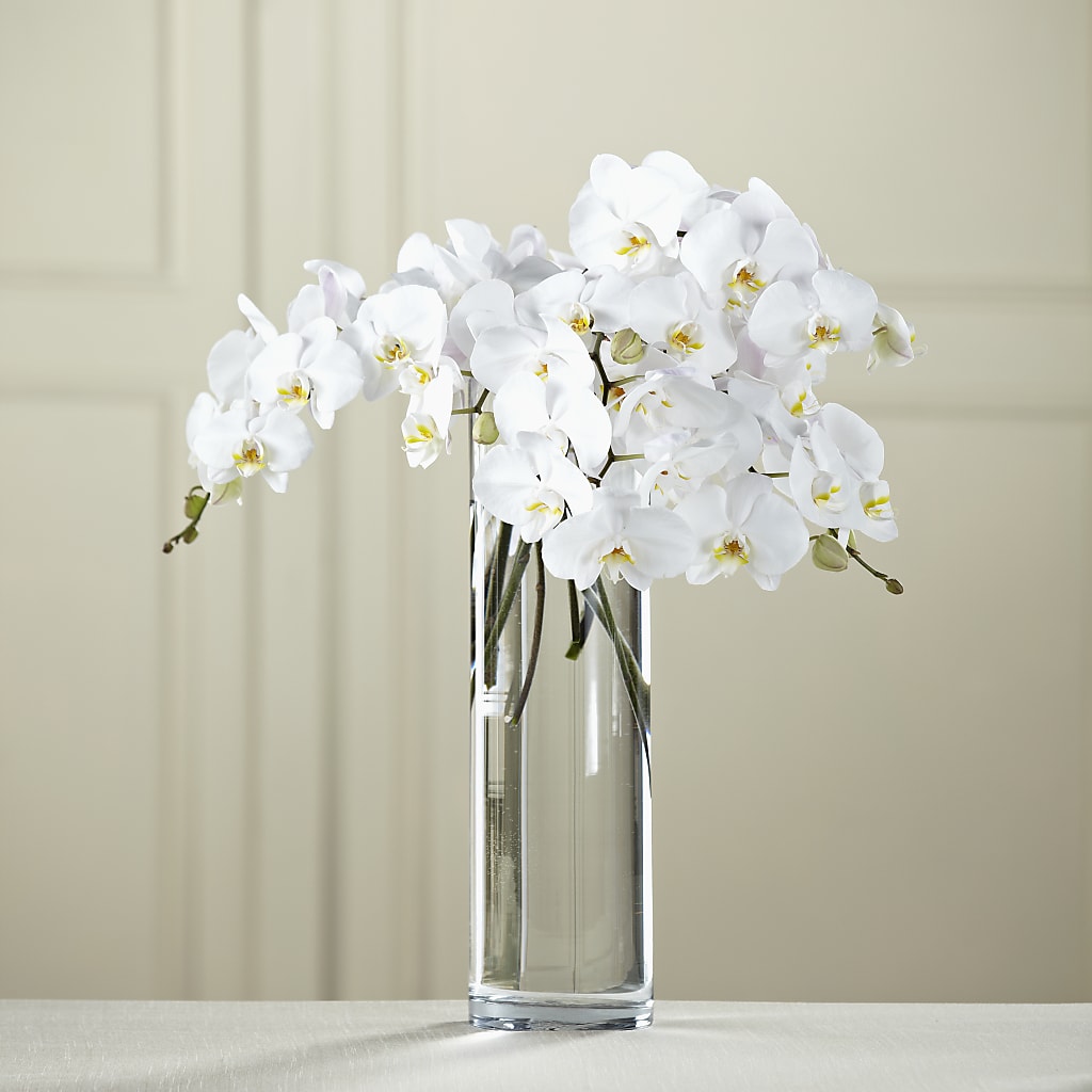 White Phalaenopsis Bouquet – COCO'S FLOWER BAR, Mckinney TX