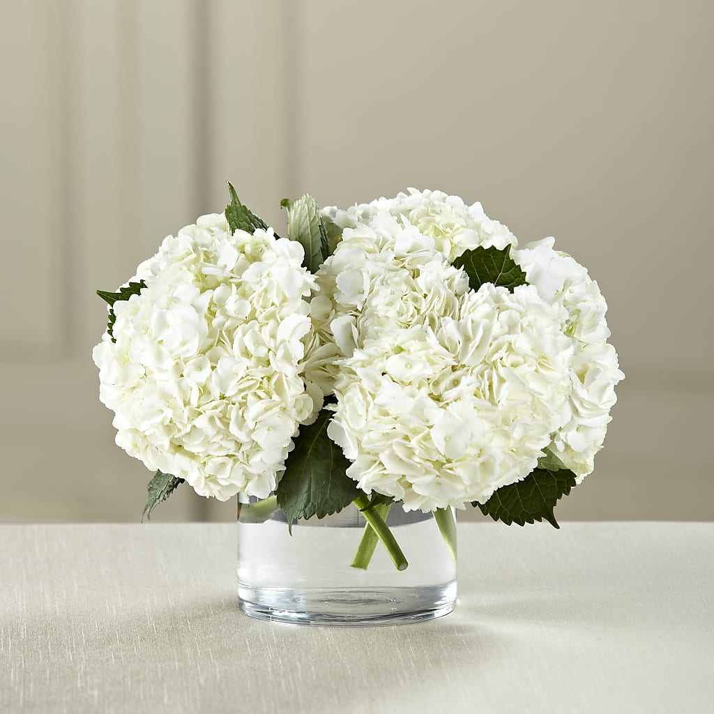 White Hydrangea Bouquet – COCO'S FLOWER BAR, Mckinney TX