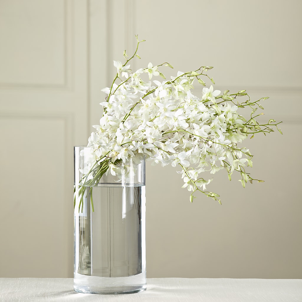 White Dendrobium Bouquet – COCO'S FLOWER BAR, Mckinney TX