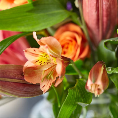 Bold & Bright – A Florist Original – COCO'S FLOWER BAR, Mckinney TX
