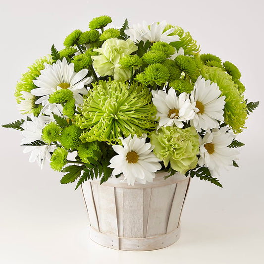 Lucky Charm Basket (Standard) – COCO'S FLOWER BAR, Mckinney TX