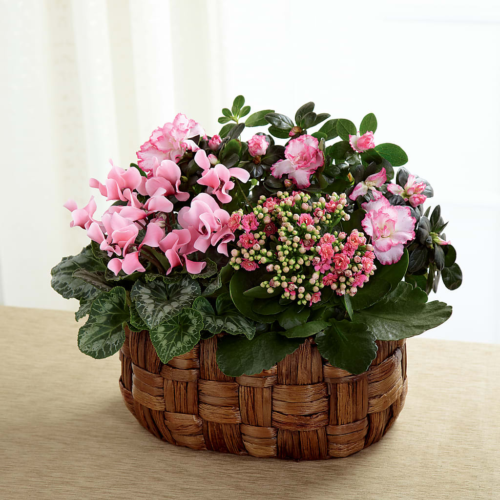 Pink Assortment – COCO'S FLOWER BAR, Mckinney TX