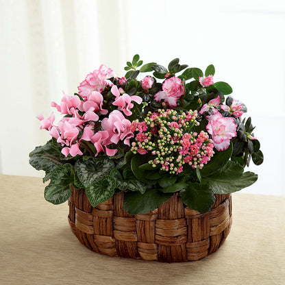 Pink Assortment – COCO'S FLOWER BAR, Mckinney TX