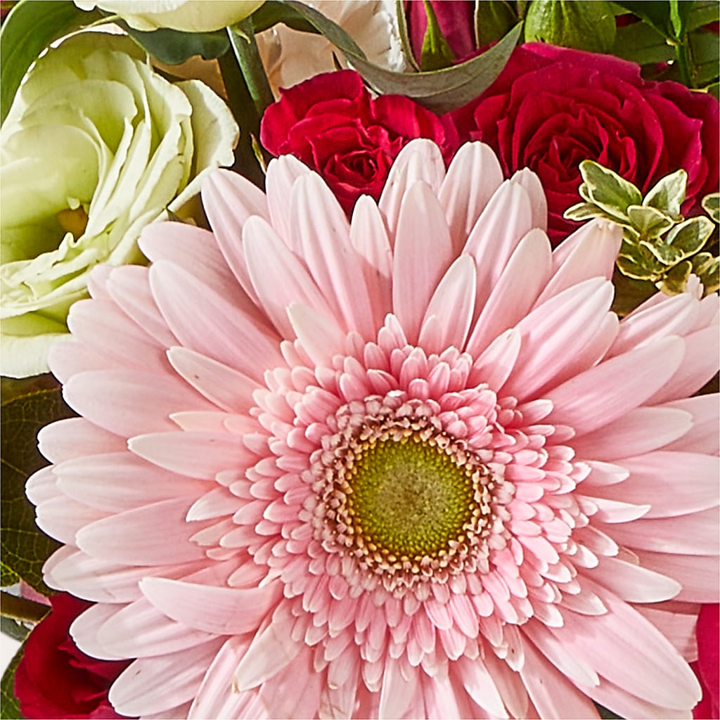 Too Cute Bouquet – COCO'S FLOWER BAR, Mckinney TX