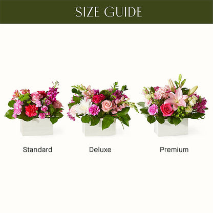 Sweetberry Box – A Florist Original – COCO'S FLOWER BAR, Mckinney TX