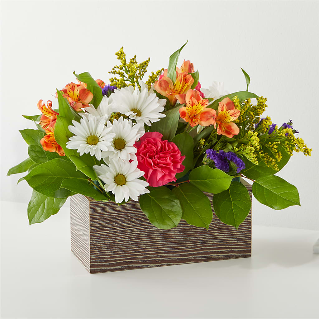 Oopsie Daisy Box Bouquet – COCO'S FLOWER BAR, Mckinney TX