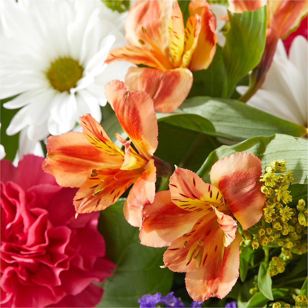 Oopsie Daisy Box Bouquet – COCO'S FLOWER BAR, Mckinney TX
