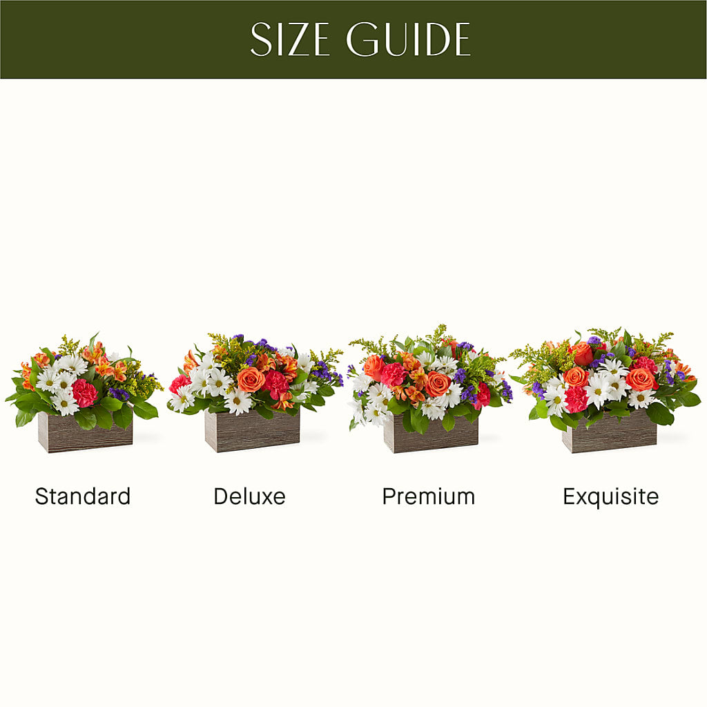 Oopsie Daisy Box Bouquet – COCO'S FLOWER BAR, Mckinney TX