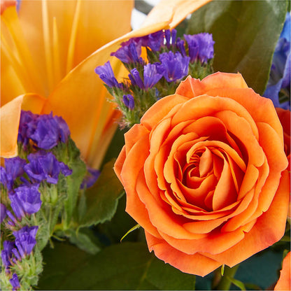 Radiant Citrus Box Bouquet – COCO'S FLOWER BAR, Mckinney TX