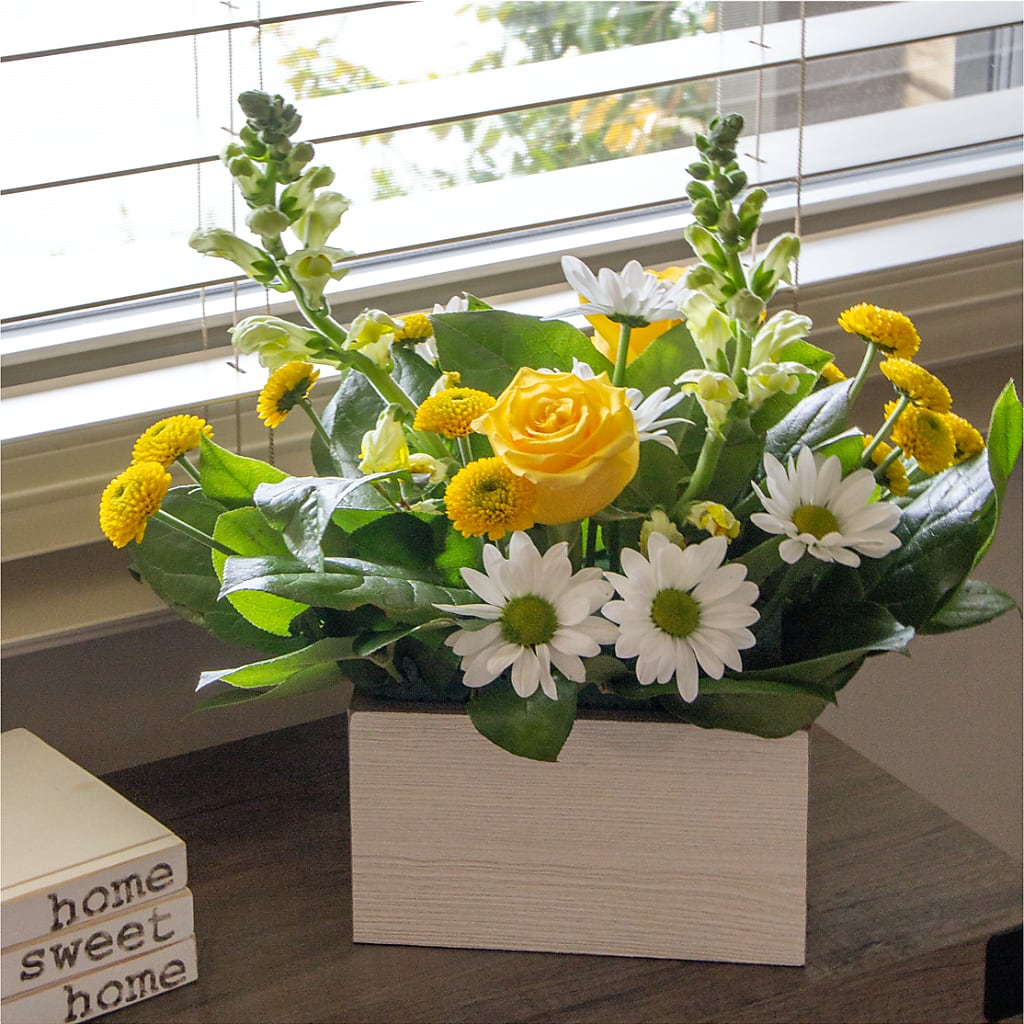 Sun Salutation Box Bouquet – COCO'S FLOWER BAR, Mckinney TX