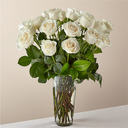 Long Stem White Rose Bouquet – COCO'S FLOWER BAR, Mckinney TX