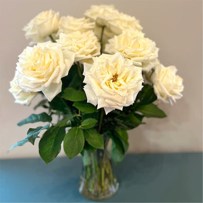 Long Stem Yellow Rose Bouquet – COCO'S FLOWER BAR, Mckinney TX