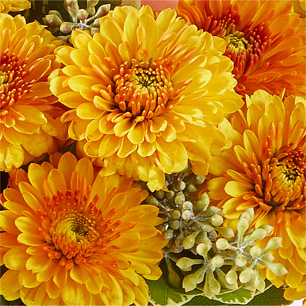 Peachy Pumpkin – COCO'S FLOWER BAR, Mckinney TX