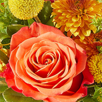 Gourdgeous Pumpkin – COCO'S FLOWER BAR, Mckinney TX