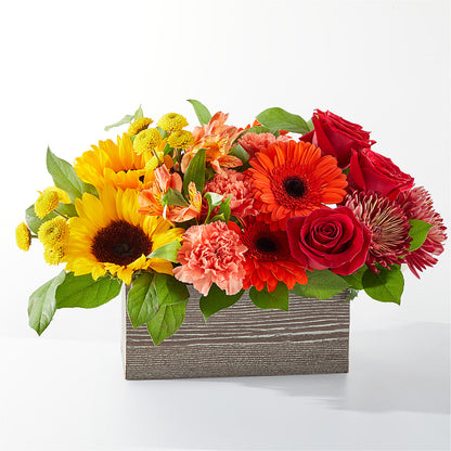 Autumn Orchard Bouquet – COCO'S FLOWER BAR, Mckinney TX