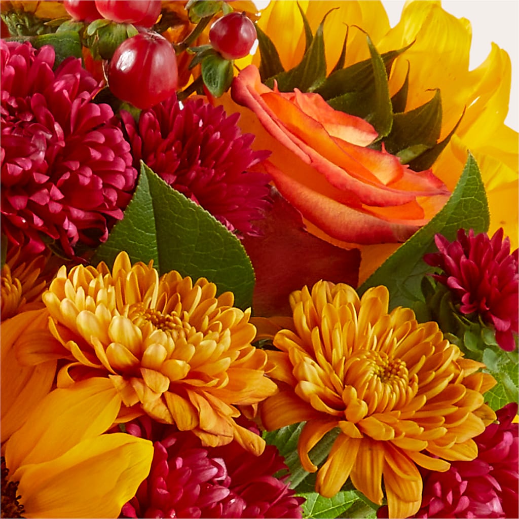 Sweater Season - A Florist Original – COCO'S FLOWER BAR, Mckinney TX