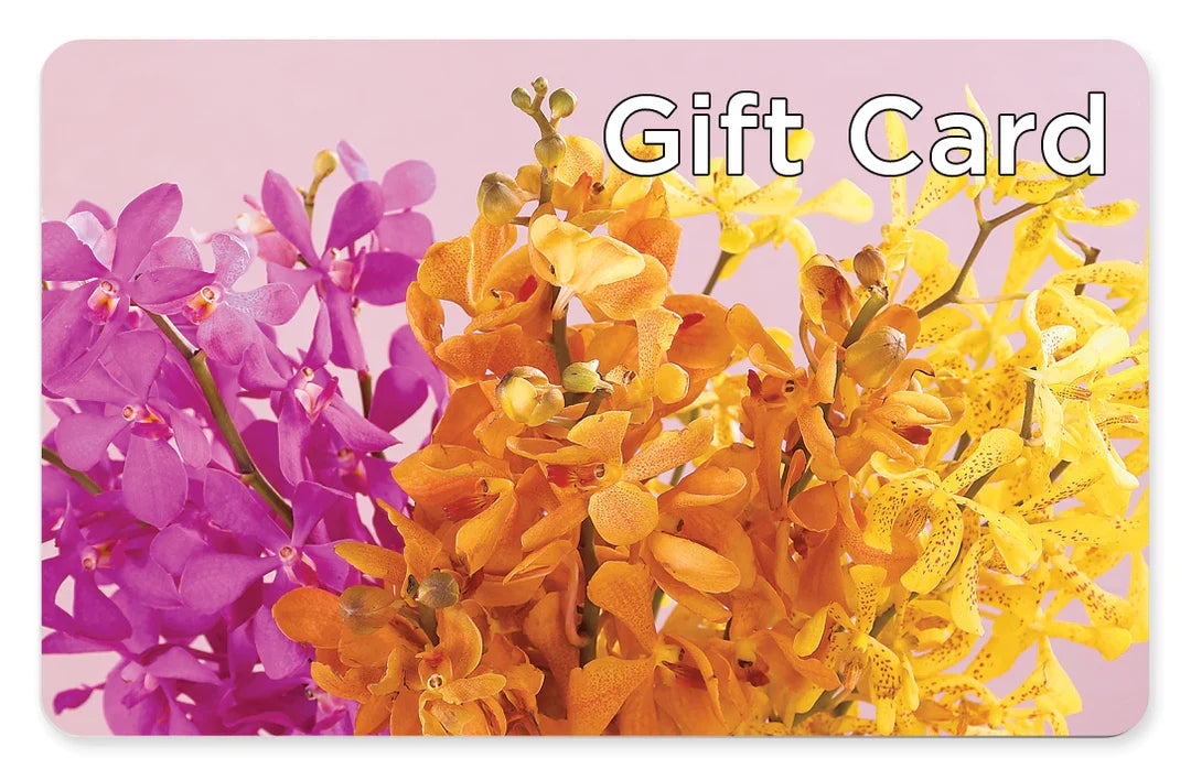 Gift Card – COCO'S FLOWER BAR, Mckinney TX