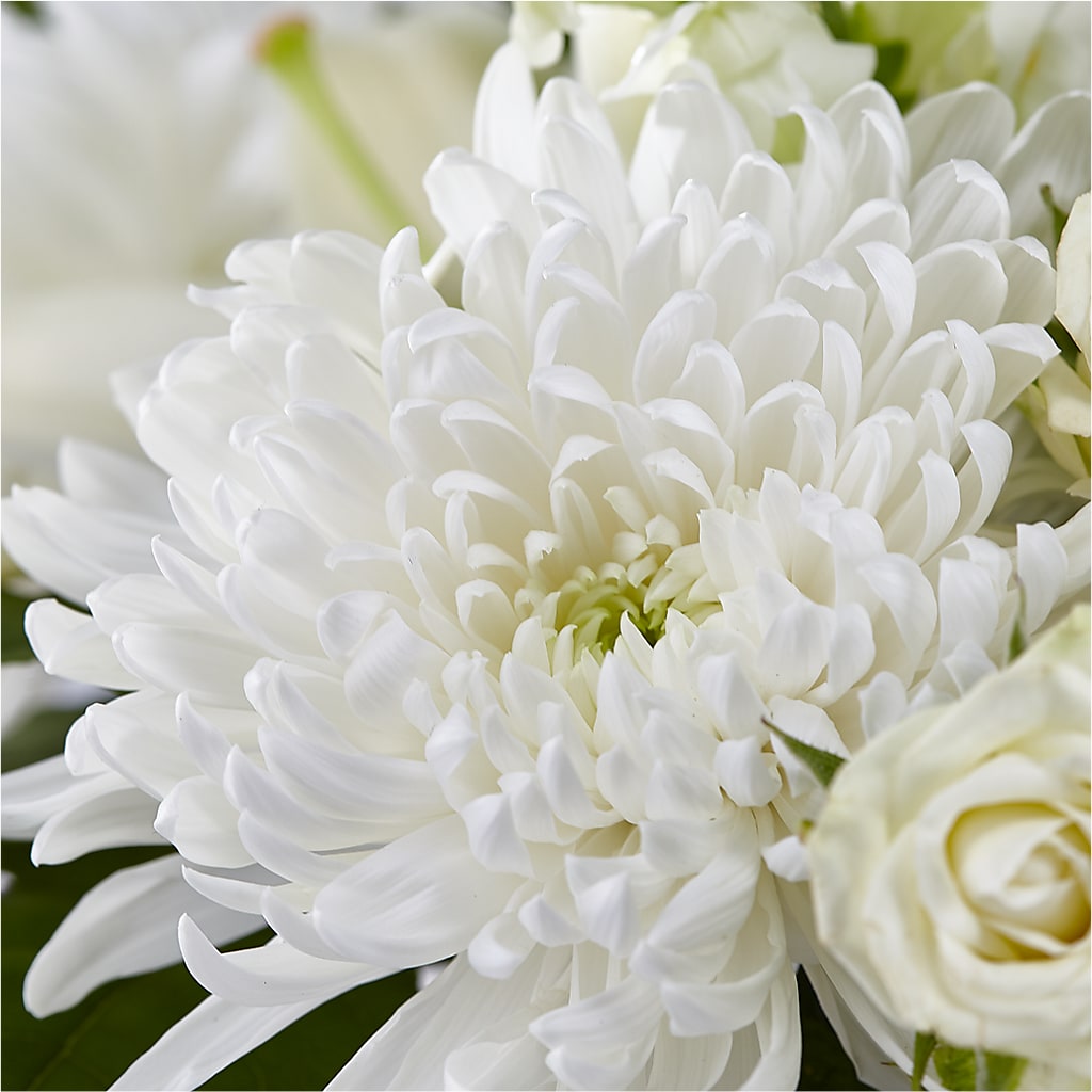 Classic Ivory – A Florist Original – COCO'S FLOWER BAR, Mckinney TX