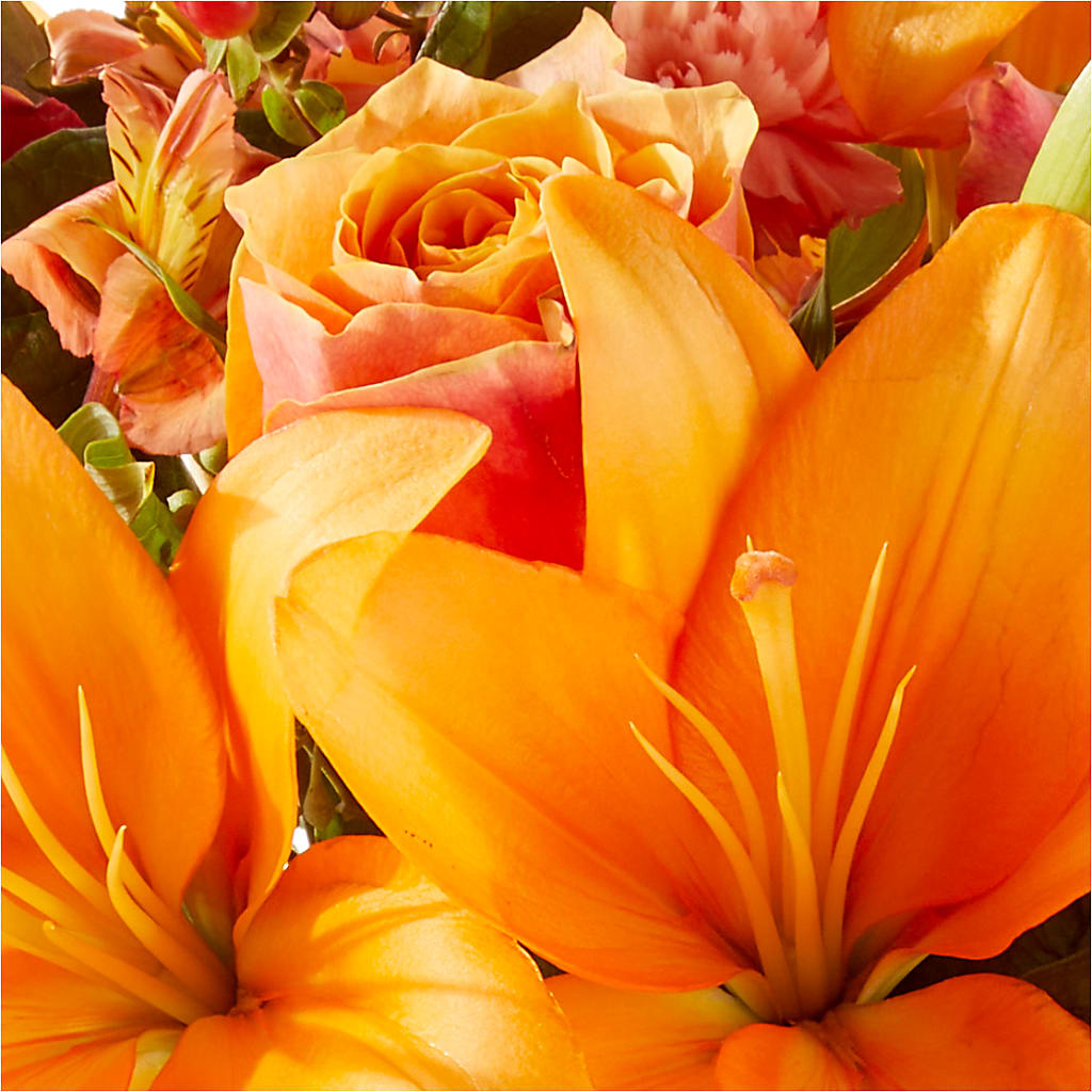 Afternoon Light Bouquet – COCO'S FLOWER BAR, Mckinney TX