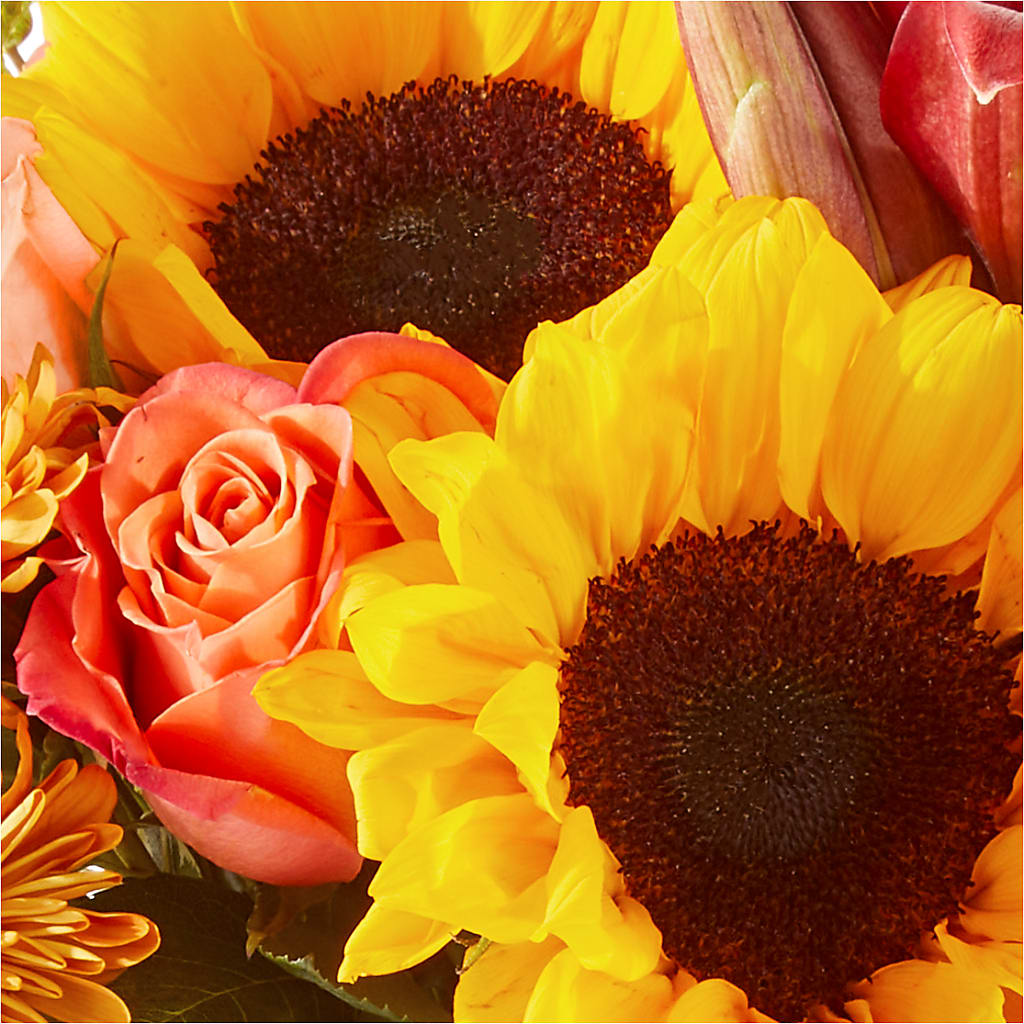 Acorn Lane Bouquet – COCO'S FLOWER BAR, Mckinney TX