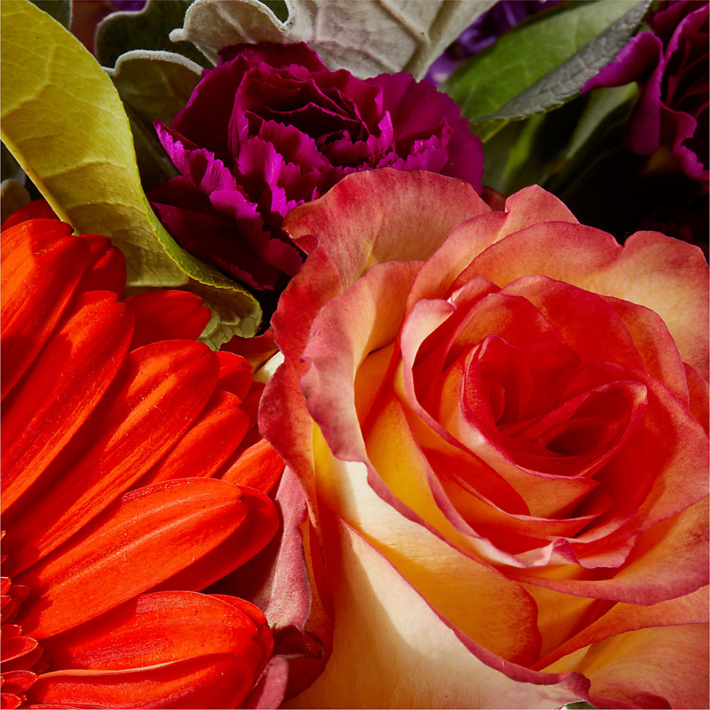 Sangria Bouquet – COCO'S FLOWER BAR, Mckinney TX