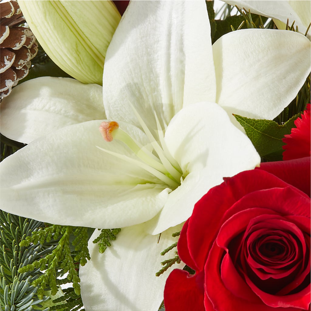 Oh So Jolly Bouquet – COCO'S FLOWER BAR, Mckinney TX