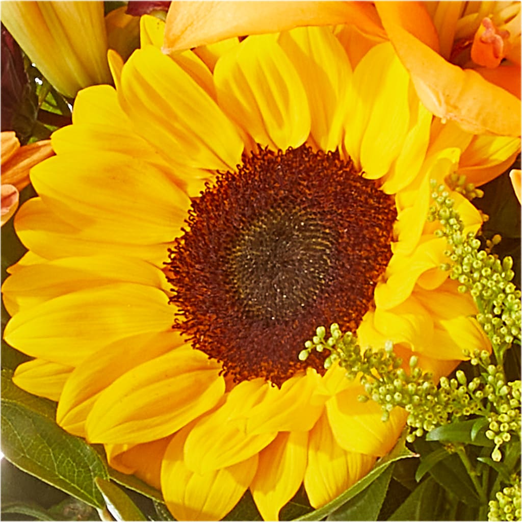 Seasons Change Bouquet – COCO'S FLOWER BAR, Mckinney TX