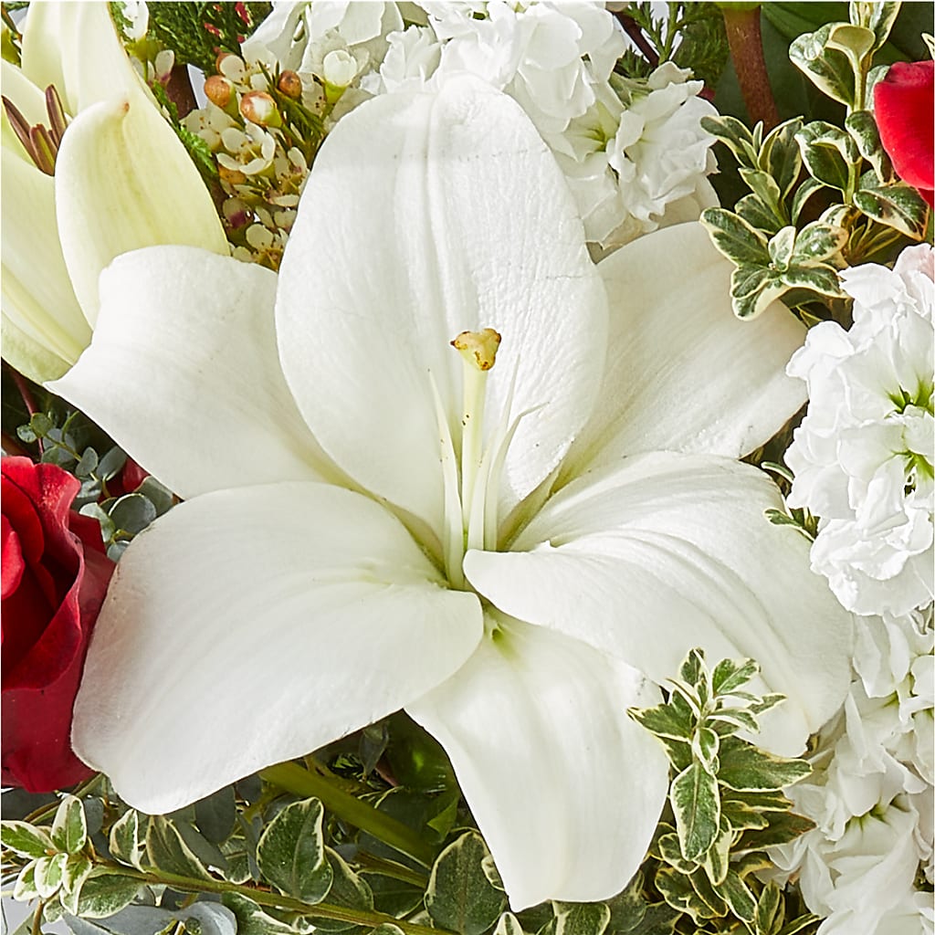 Twinkle Lights Bouquet – COCO'S FLOWER BAR, Mckinney TX