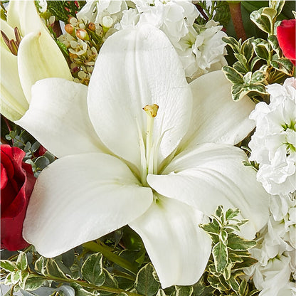 Twinkle Lights Bouquet – COCO'S FLOWER BAR, Mckinney TX