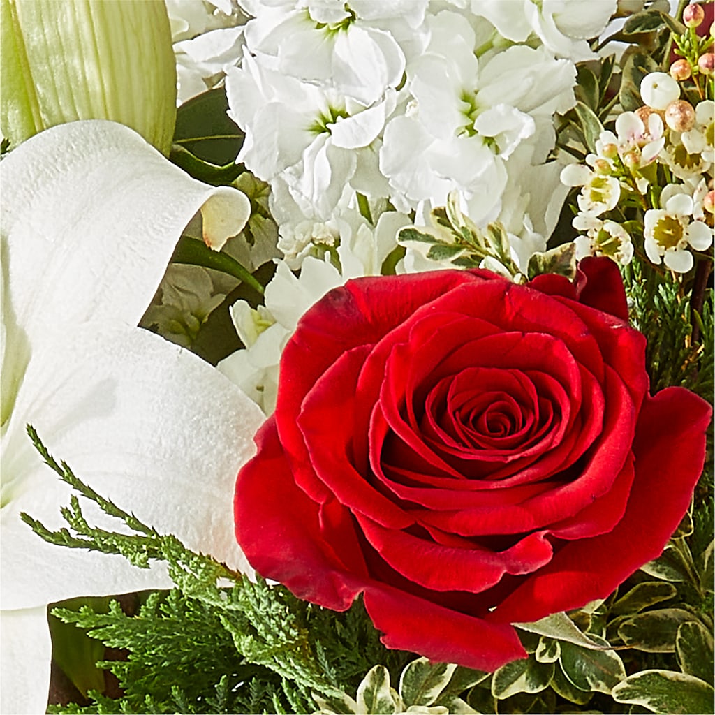 Twinkle Lights Bouquet – COCO'S FLOWER BAR, Mckinney TX