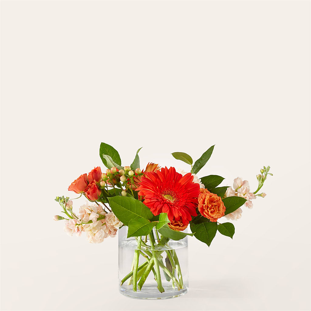 Paloma Please Bouquet – COCO'S FLOWER BAR, Mckinney TX
