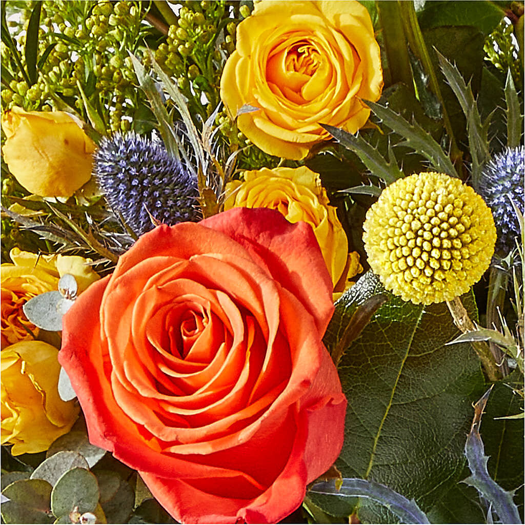 Disco Bouquet – COCO'S FLOWER BAR, Mckinney TX