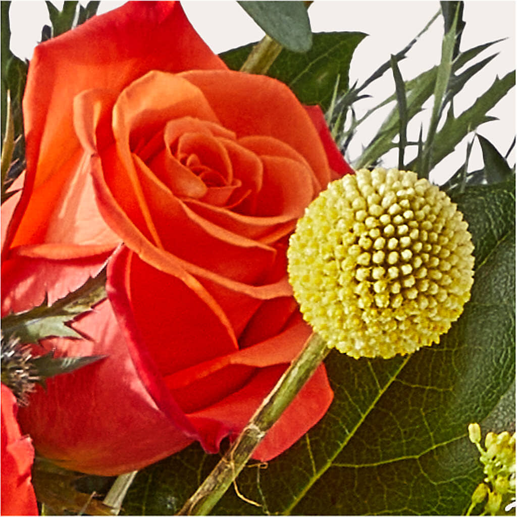 Disco Bouquet – COCO'S FLOWER BAR, Mckinney TX