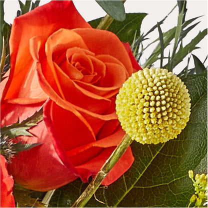 Disco Bouquet – COCO'S FLOWER BAR, Mckinney TX