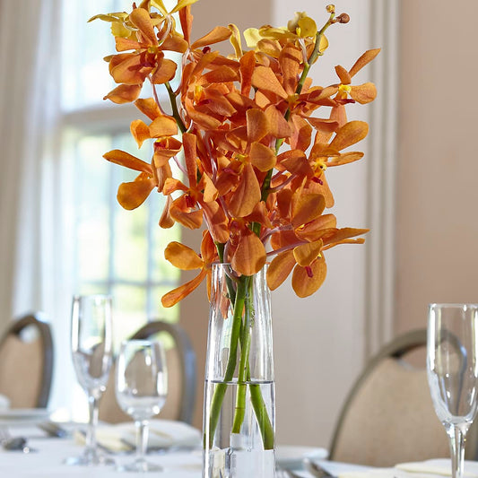 Orange Mokara Bud Vase – COCO'S FLOWER BAR, Mckinney TX