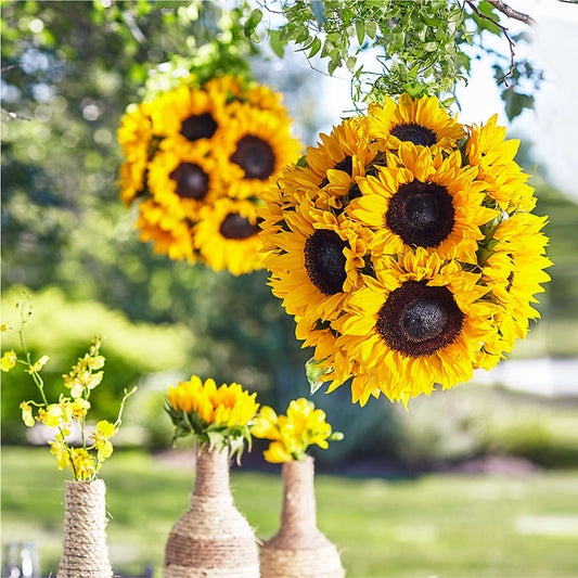 Sublime Garden Hanging Arrangement – COCO'S FLOWER BAR, Mckinney TX