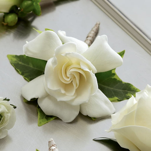 Gardenia Boutonniere – COCO'S FLOWER BAR, Mckinney TX