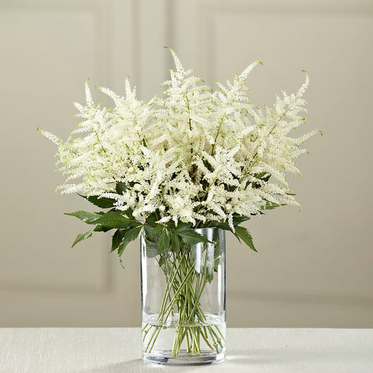 White Astilbe Bouquet – COCO'S FLOWER BAR, Mckinney TX