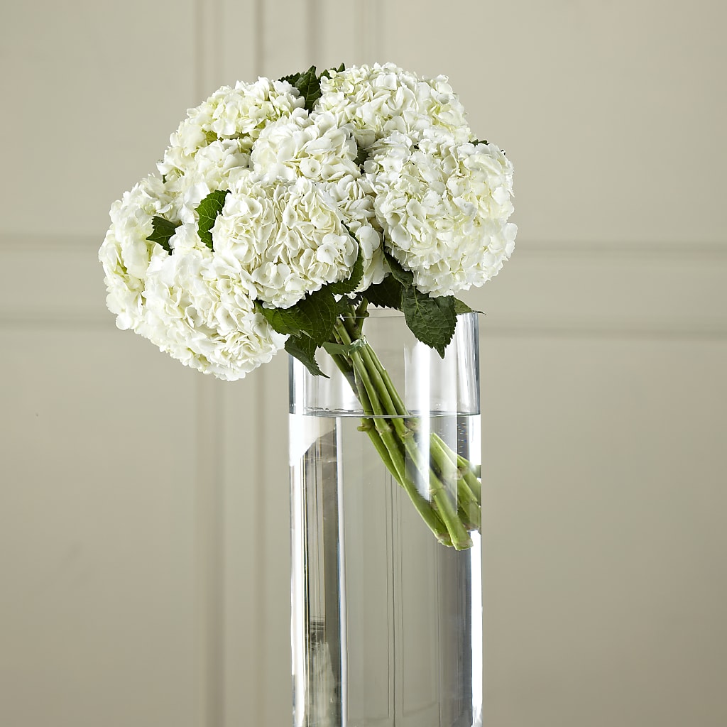 White Hydrangea Hand-Tied Bouquet – COCO'S FLOWER BAR, Mckinney TX