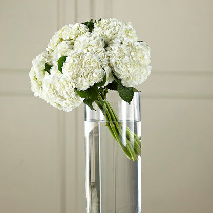 White Hydrangea Hand-Tied Bouquet – COCO'S FLOWER BAR, Mckinney TX