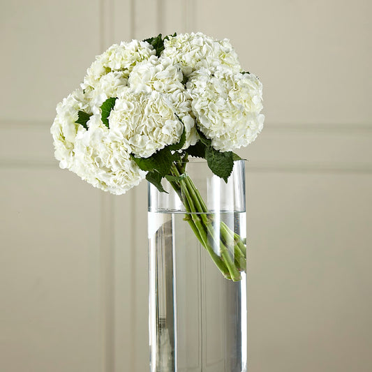 White Hydrangea Hand-Tied Bouquet – COCO'S FLOWER BAR, Mckinney TX