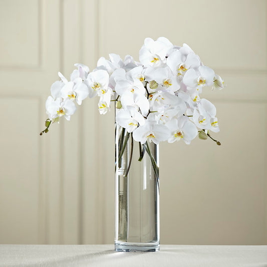 White Phalaenopsis Bouquet – COCO'S FLOWER BAR, Mckinney TX